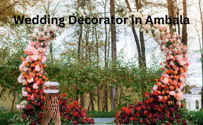 Best Decorators in Ambala Cantt